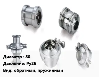 Клапан нержавеющий 80 Ру25 обратный, пружинный